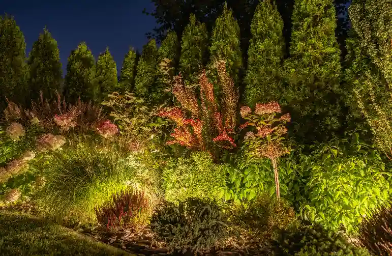 Landscape Lighting